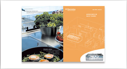 商用家电，电子公司，商用电器公司，消费电子公司，画册设计，宣传物设计，单页设计，DM设计，产品手册设计，标志设计，VI设计，logo设计，VIS设计，吉祥物设计，商标设计，logo design,VIS design, trade mark design,shanghai design company,上海设计公司，上海标志设计公司，上海VI设计公司，上海广告设计公司