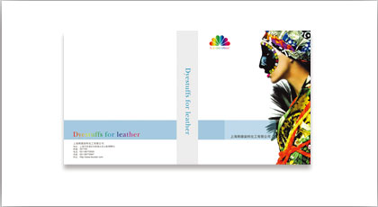 化工生产型企业，制造公司，电气业，化工行业，跨国公司，样本设计，画册设计，宣传物设计，单页设计，DM设计，产品手册设计