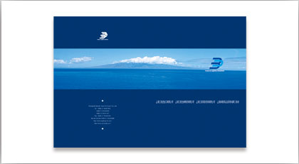 咨询公司，策划公司，服务行BA，样本设计，画册设计，宣传物设计，单页设计，DM设计，产品手册设计，上海广告设计公司