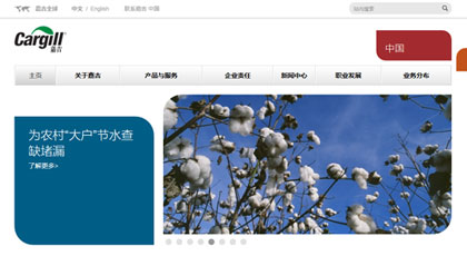 网站设计，网页设计，web design, UI设计，界面设计，用户界面设计，自适应网站设计，APP 界面设计