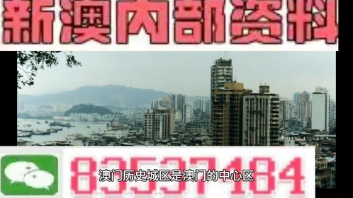 指摘:2025年澳门精准免费大全必49,的警惕虚假宣传-全面释义、解释与落实