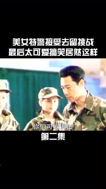 剥去伪装:一白小姐一一肖必中特,详细解答、解释与落实