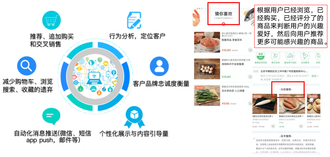 真相大白:新澳门最精准免费大全,详细解答、解释与落实